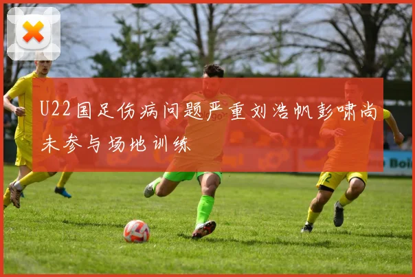 U22国足伤病问题严重刘浩帆彭啸尚未参与场地训练