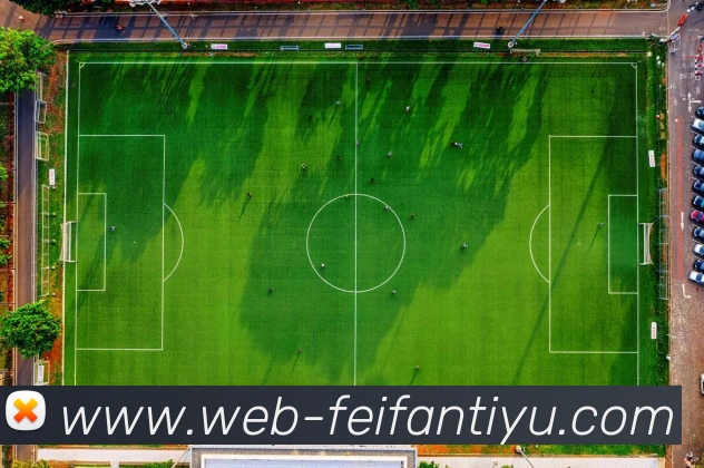 非凡体育品牌故事