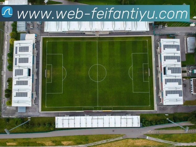 非凡体育服务体系